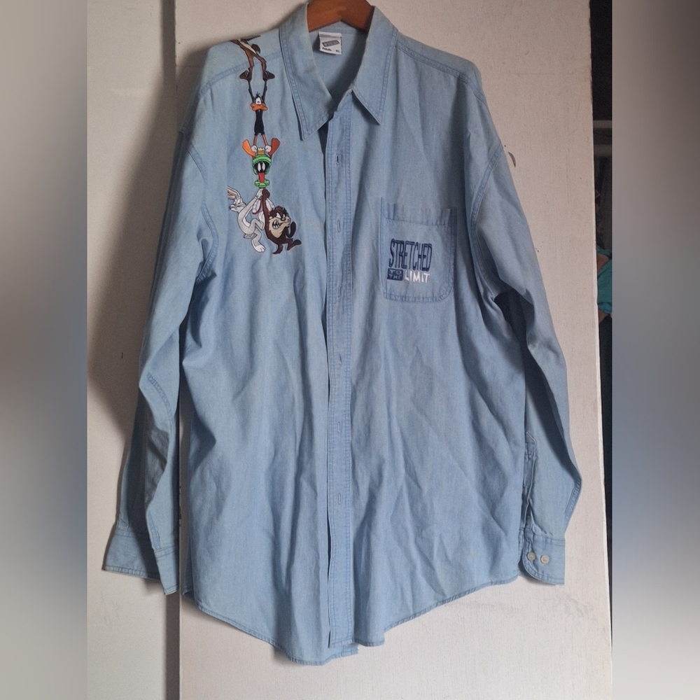 Warner Bros. Light Blue Cartoon Embroidered Shirt